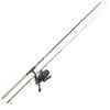 Balzer Combo MK Aalpicker Aal-Kombo 2,75m 40-120g 1 Balzer Combo MK Aalpicker Aal-Kombo 2,75m 40-120g -Sportfischen Balzer Combo MK Aalpicker Aal Kombo 2 75m 40 120g