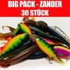 Jackson Big Pack Profi Zanderköder Angelset 6 Bis 14cm – Kunstköder Set – 30 Stück -Sportfischen Big Pack Zander 30 Shop