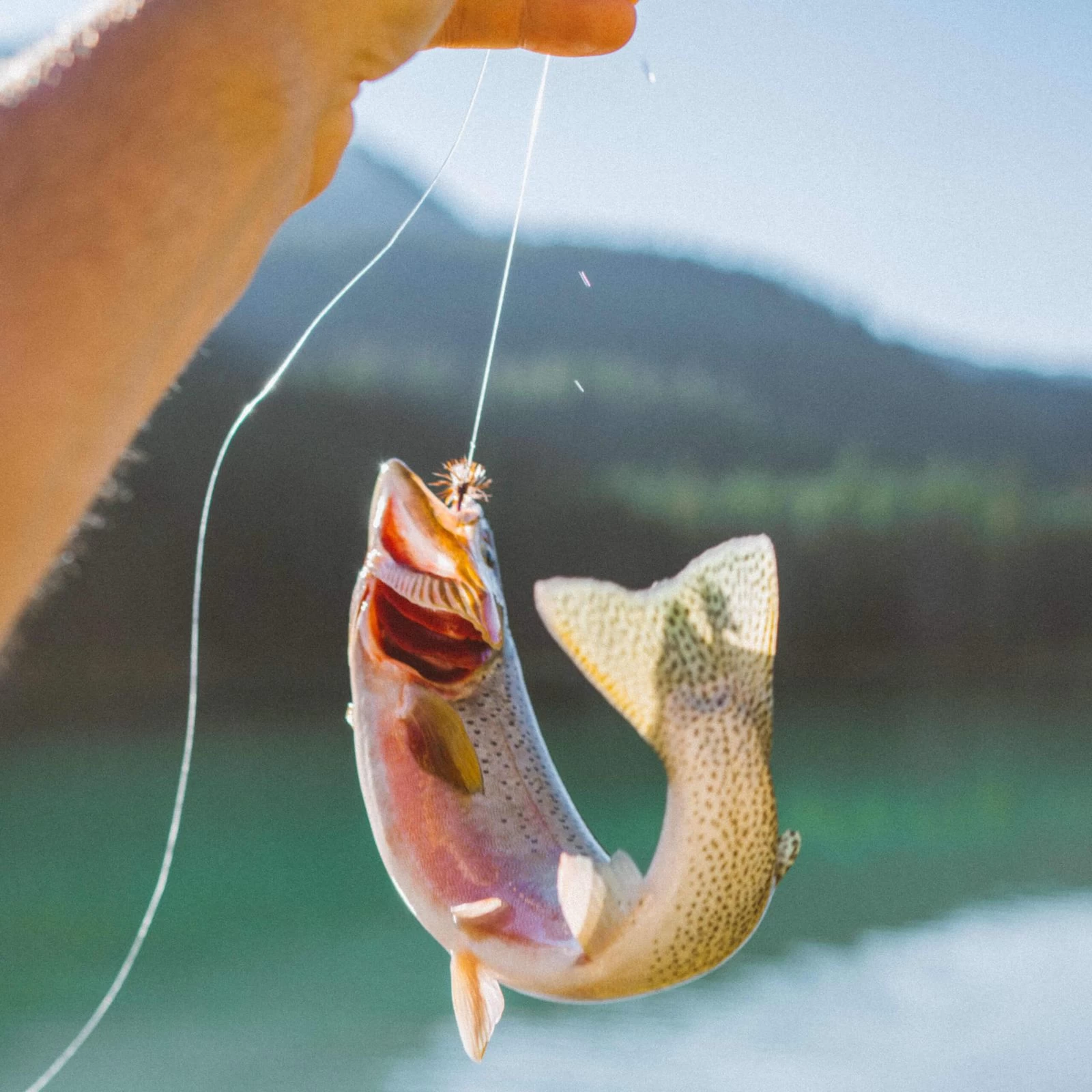 Top Angelset Komplett Combo Allround Rute Rolle Schnur Köder Zubehör 14 Teile 7 Top Angelset Komplett Combo Allround Rute Rolle Schnur Köder Zubehör 14 Teile – Bild 5