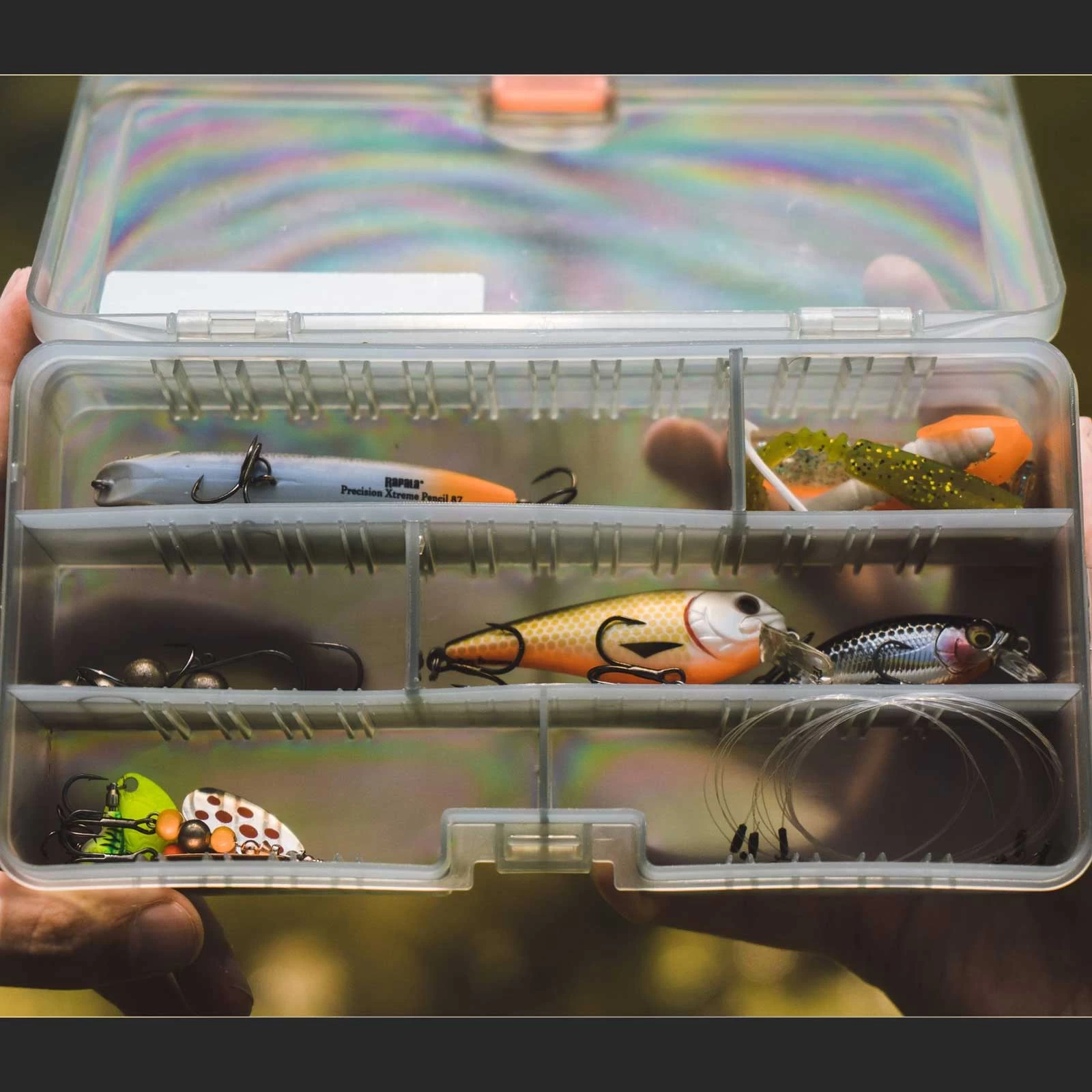 Forelle/Barsch Einsteigerset By Fishing-King 4 Forelle/Barsch Einsteigerset By Fishing-King - Image 2