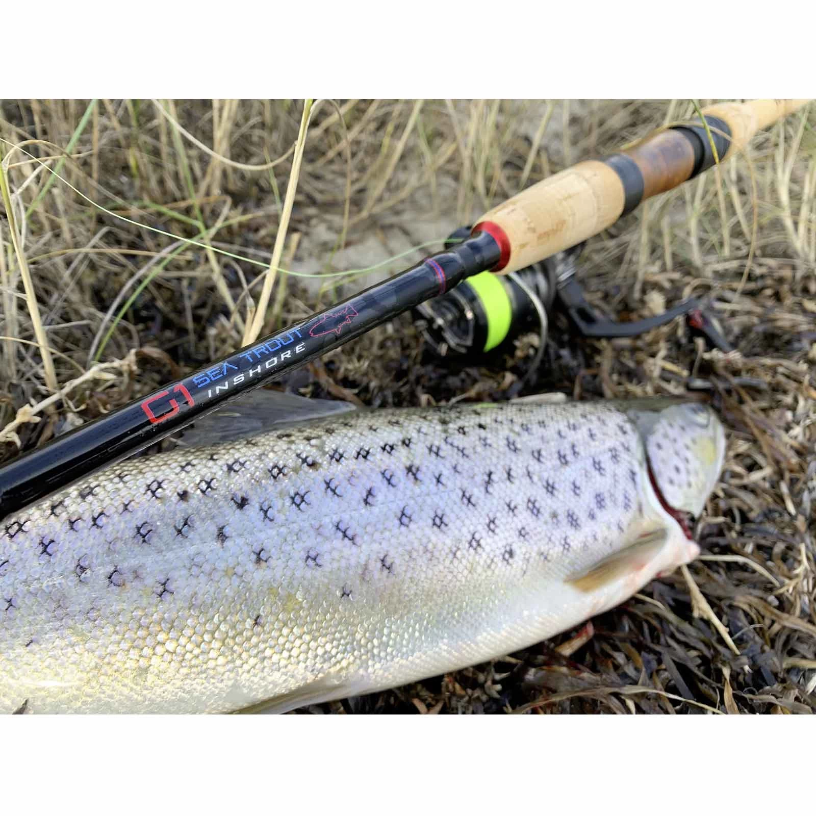 Rhino Inshore Sea Trout G1 Meerforellenrute 9 Rhino Inshore Sea Trout G1 Meerforellenrute – Bild 7